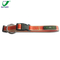 Purple PVC Webbing Light Army Breakaway Double Buckle Dog Training Collar for Dog