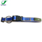 Western Style Small Orange Adjustable Waterproof Silicone PVC Dog Belt Collar Leash